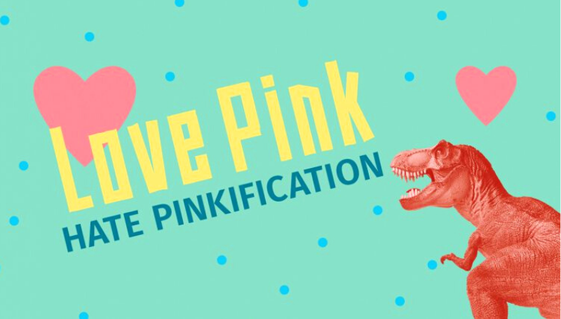 Ausschnitt eines Plakats mit einem pinken Dinosaurier: Darauf ist zu lesen: Love pink. Hate pinkification.