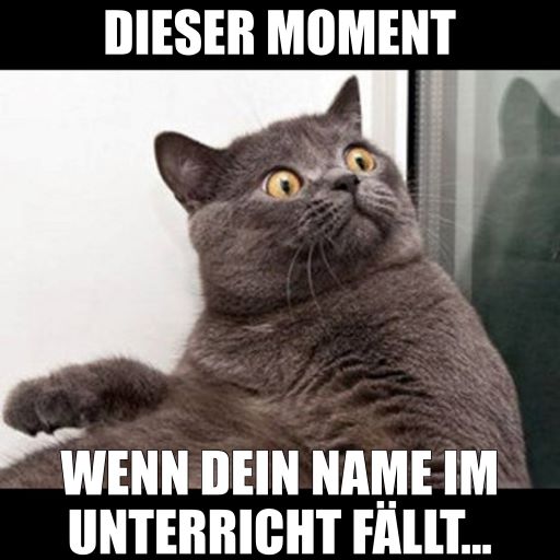 Katze mit überraschtem Blick und dem Meme-Text "Dieser Moment, wenn dein Name im Unterricht fällt..."